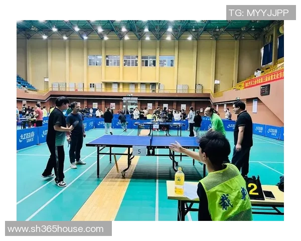 重庆乒乓球队的崛起与发展探索聚焦乒乓球的力量与未来