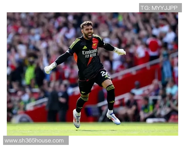 大马足球明星全名汇总及其成就分析与职业生涯回顾